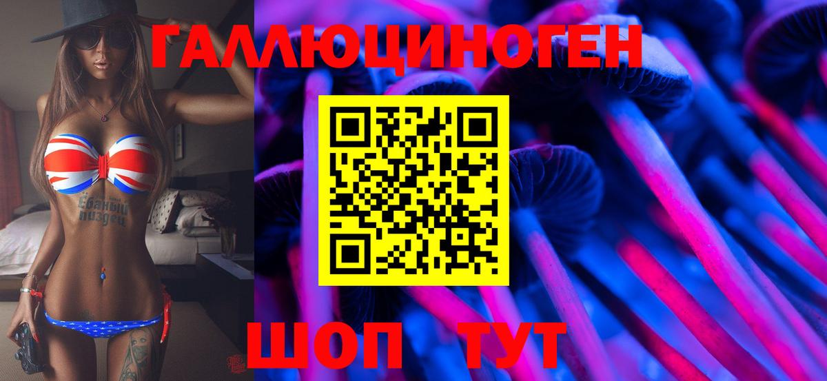 Псилоцибиновые грибы ЛСД  Псилоцибиновые грибы ЛСД  купить наркотики цена  Вход с VPN  Магадан 